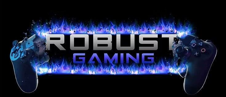 Robust Gamers